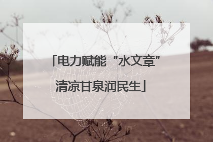 电力赋能“水文章” 清凉甘泉润民生