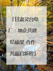 甘肃灵台电厂：地企共建结硕果 合作共赢启新程