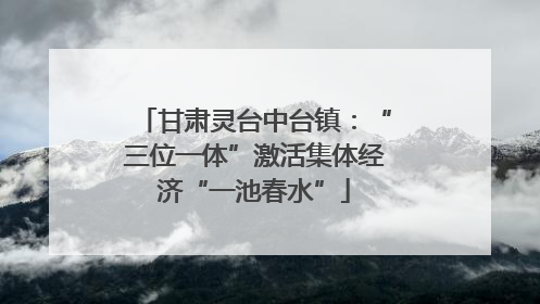 甘肃灵台中台镇：“三位一体”激活集体经济“一池春水”