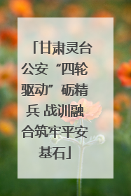 甘肃灵台公安“四轮驱动”砺精兵 战训融合筑牢平安基石