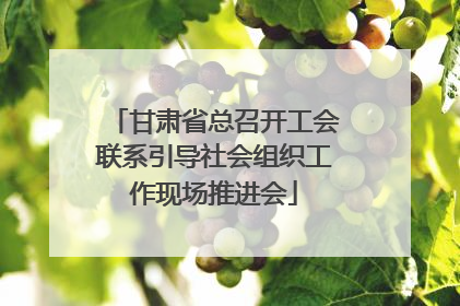 甘肃省总召开工会联系引导社会组织工作现场推进会