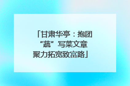 甘肃华亭：抱团“蔬”写菜文章 聚力拓宽致富路