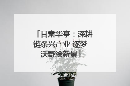 甘肃华亭：深耕链条兴产业 逐梦沃野绘新景