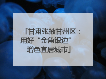 甘肃张掖甘州区：用好“金角银边” 增色宜居城市