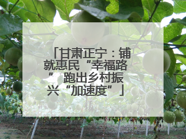 甘肃正宁：铺就惠民“幸福路” 跑出乡村振兴“加速度”
