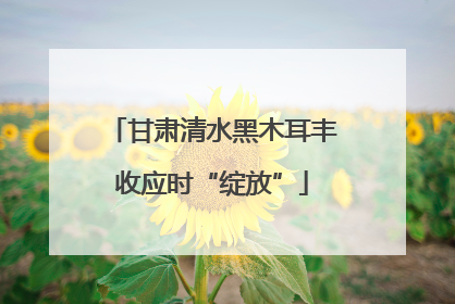 甘肃清水黑木耳丰收应时“绽放”