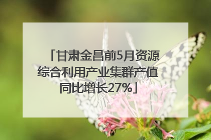 甘肃金昌前5月资源综合利用产业集群产值同比增长27%