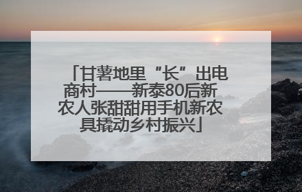 甘薯地里“长”出电商村——新泰80后新农人张甜甜用手机新农具撬动乡村振兴