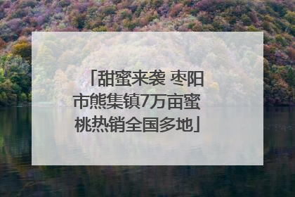 甜蜜来袭 枣阳市熊集镇7万亩蜜桃热销全国多地