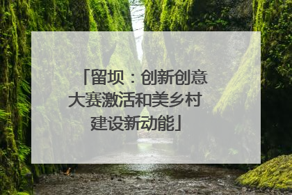 留坝：创新创意大赛激活和美乡村建设新动能