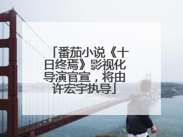 番茄小说《十日终焉》影视化导演官宣，将由许宏宇执导