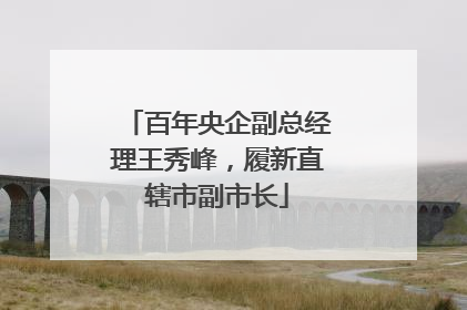 百年央企副总经理王秀峰，履新直辖市副市长