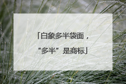 白象多半袋面，“多半”是商标
