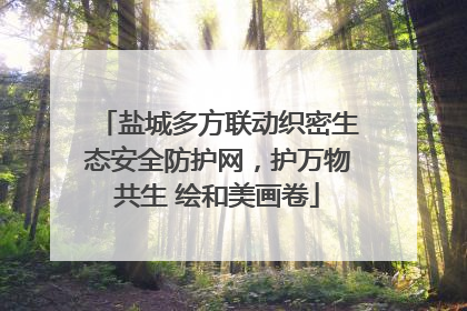 盐城多方联动织密生态安全防护网，护万物共生 绘和美画卷