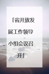 省开放发展工作领导小组会议召开