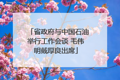 省政府与中国石油举行工作会谈 毛伟明戴厚良出席