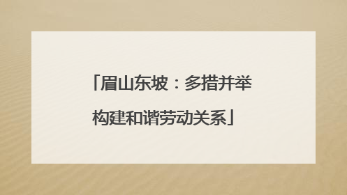 眉山东坡：多措并举构建和谐劳动关系