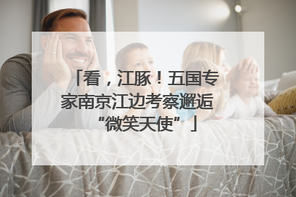 看，江豚！五国专家南京江边考察邂逅“微笑天使”
