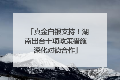 真金白银支持！湖南出台十项政策措施深化对德合作