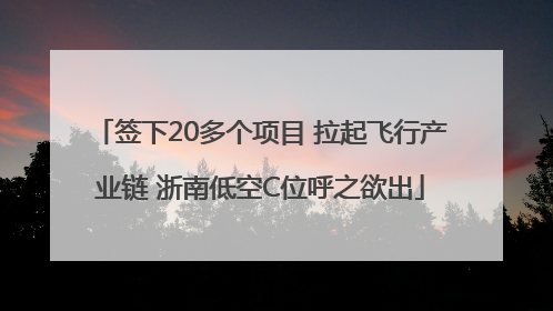 签下20多个项目 拉起飞行产业链 浙南低空C位呼之欲出