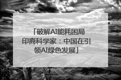 破解AI能耗困局 印裔科学家：中国在引领AI绿色发展