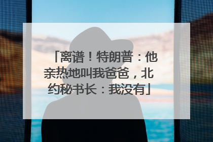 离谱！特朗普：他亲热地叫我爸爸，北约秘书长：我没有