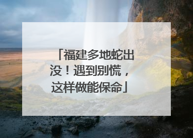 福建多地蛇出没！遇到别慌，这样做能保命
