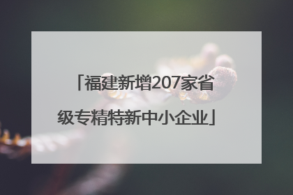 福建新增207家省级专精特新中小企业
