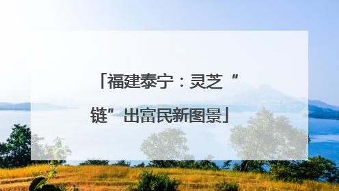 福建泰宁：灵芝“链”出富民新图景