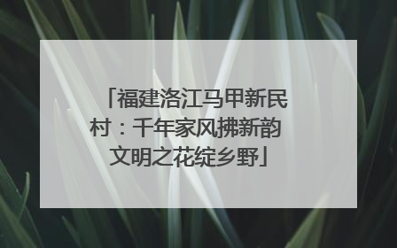 福建洛江马甲新民村：千年家风拂新韵 文明之花绽乡野