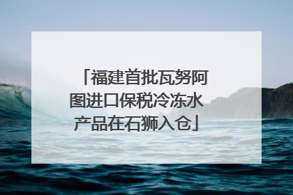 福建首批瓦努阿图进口保税冷冻水产品在石狮入仓