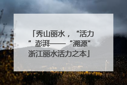 秀山丽水，“活力”澎湃——“溯源”浙江丽水活力之本