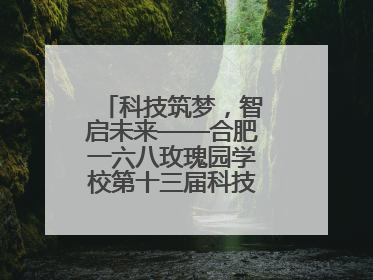 科技筑梦，智启未来——合肥一六八玫瑰园学校第十三届科技节机器人系列体验赛燃动校园