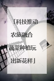 科技推动农旅融合 蔬菜种植玩出新花样