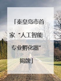 秦皇岛市首家“人工智能专业孵化器”揭牌