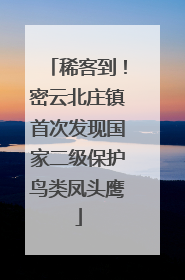 稀客到！密云北庄镇首次发现国家二级保护鸟类凤头鹰