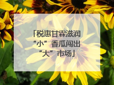 税惠甘霖滋润“小”香瓜闯出“大”市场