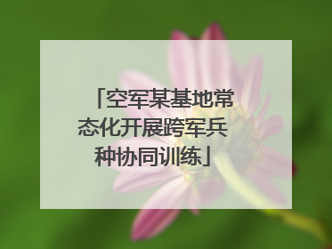空军某基地常态化开展跨军兵种协同训练