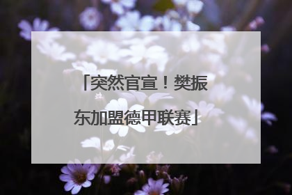 突然官宣！樊振东加盟德甲联赛