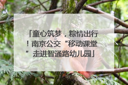 童心筑梦，粽情出行！南京公交“移动课堂”走进智通路幼儿园