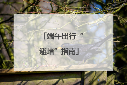 端午出行“避堵”指南