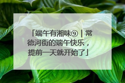 端午有湘味⑨｜常德河街的端午快乐，提前一天就开始了