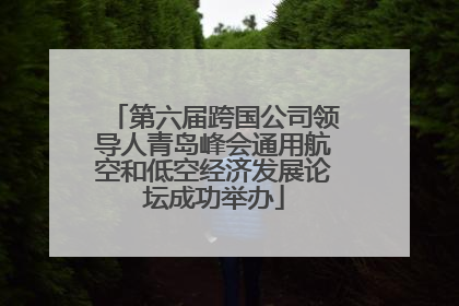 第六届跨国公司领导人青岛峰会通用航空和低空经济发展论坛成功举办