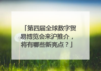 第四届全球数字贸易博览会来沪推介，将有哪些新亮点？