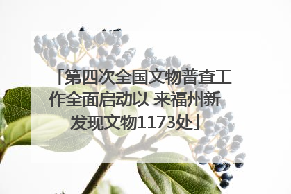 第四次全国文物普查工作全面启动以 来福州新发现文物1173处