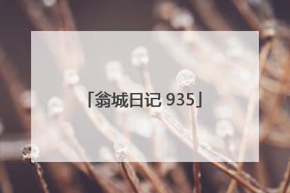 翁城日记 935