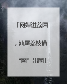 网媒进荔园，汕尾荔枝借“网”出圈