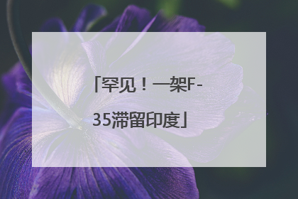 罕见！一架F-35滞留印度