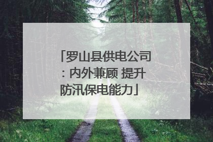 罗山县供电公司：内外兼顾 提升防汛保电能力