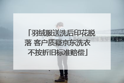 羽绒服送洗后印花脱落 客户质疑京东洗衣不按折旧标准赔偿